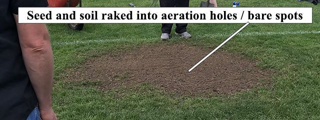 Seed and soil raked into aeration holes on the bare spot