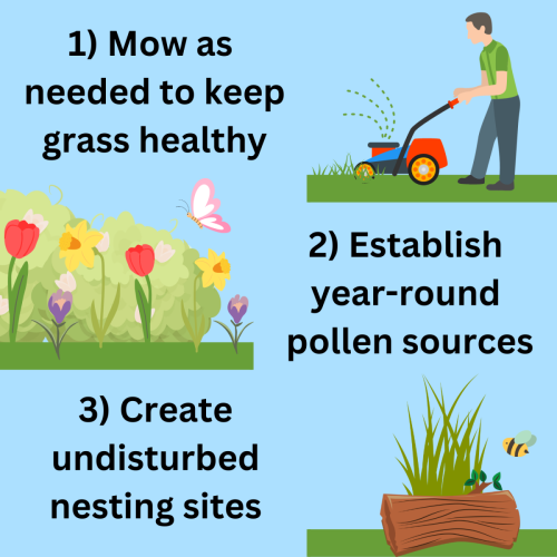 1) mow as needed to keep grass healthy 2) establish year-round pollen sources 3) created undisturbed nesting sites