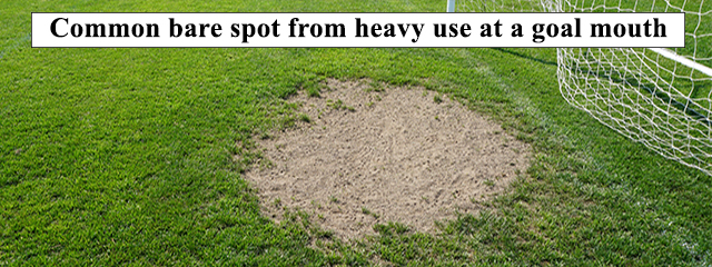 Common bare spot from heavy use at a goal mouth on a soccer field
